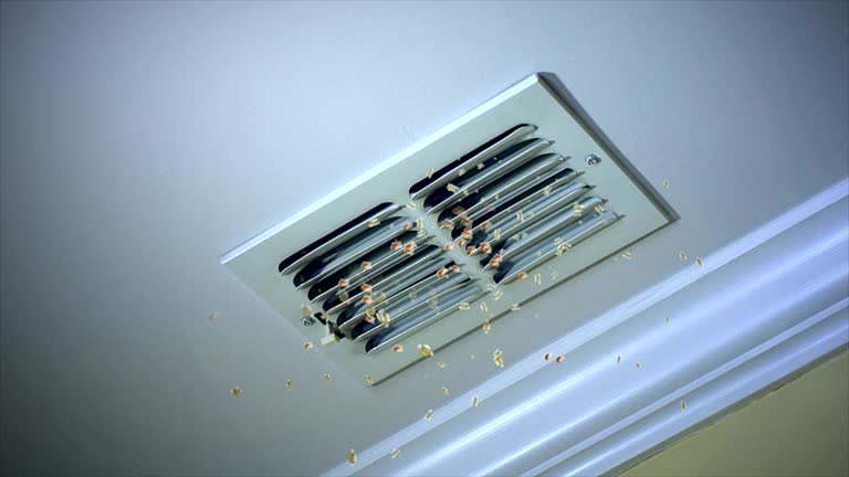 Best Air Duct Sanitizing Services  in Jasmine Estates, FL