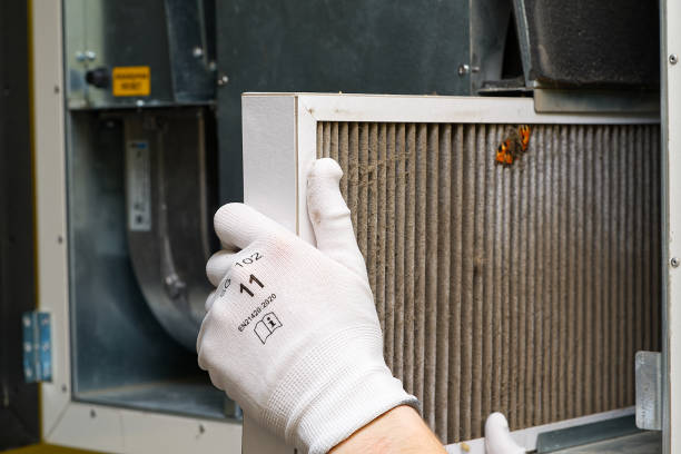 Best Best Air Duct Cleaning Company  in Jasmine Estates, FL